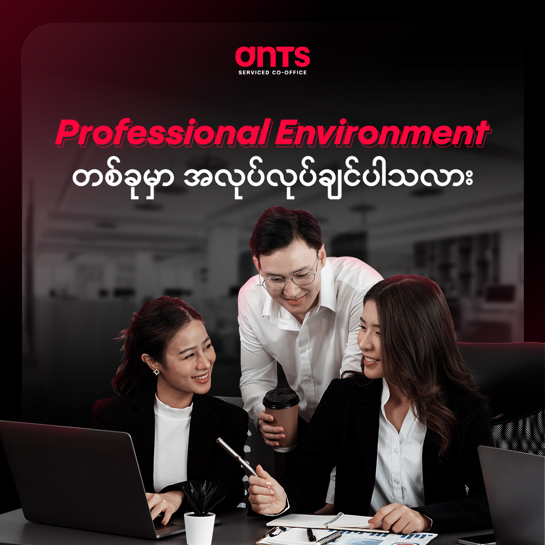 Ants Social Presence 1