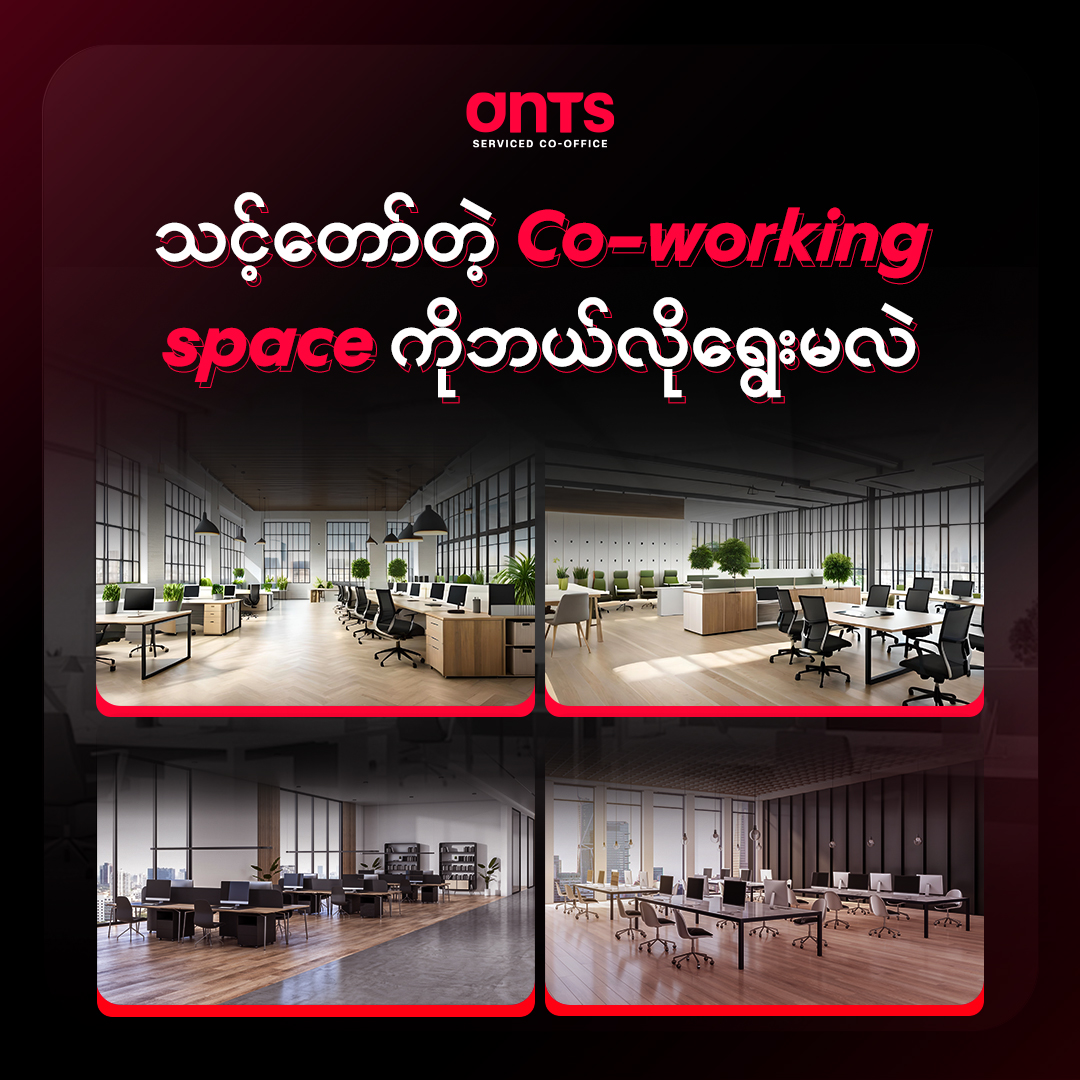 Ants Social Presence 2